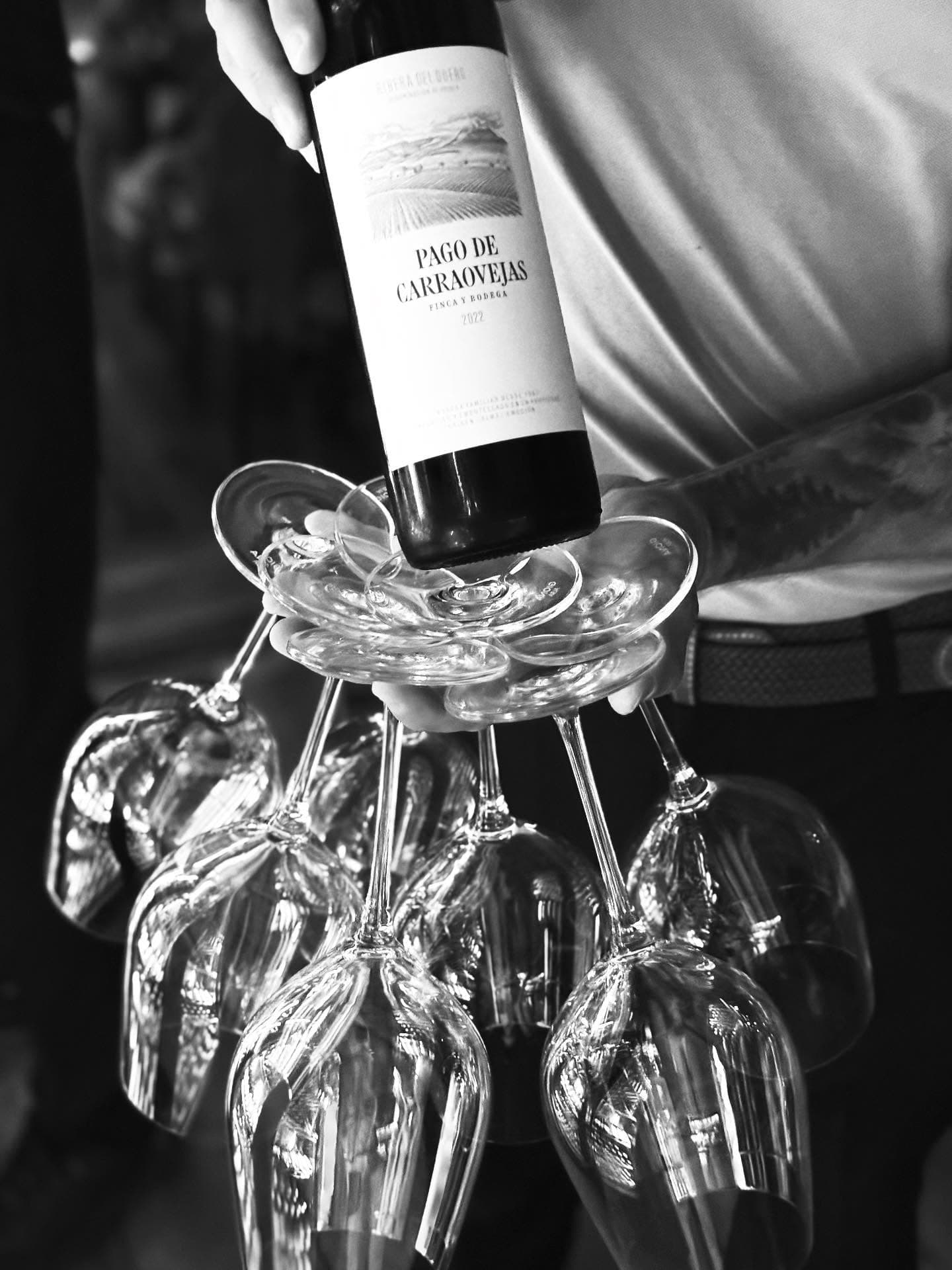 Una botella de vino tinto sobre varias copas, en blanco y negro